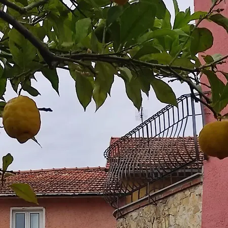 Casa vacanze Flowers Poiolo *